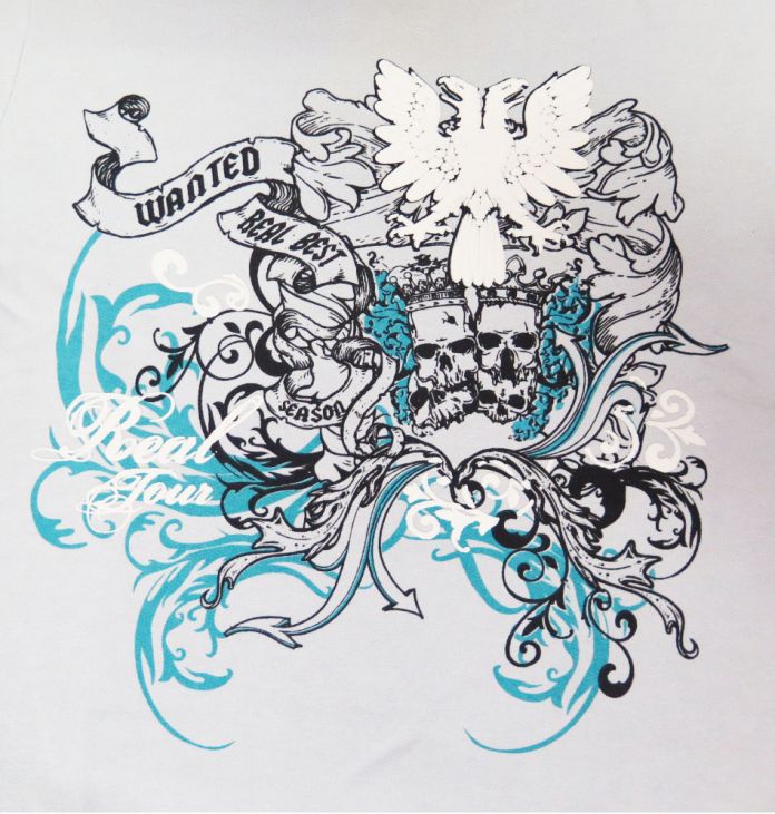 Buzo de Algodon Frizado Sin Capucha Estampado Aguila Calavera