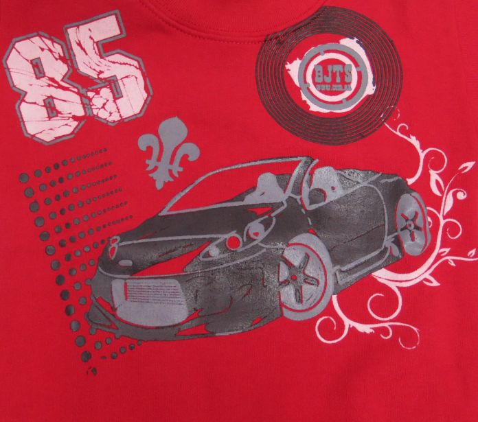 Buzo de Algodon Frizado Sin Capucha Estampado Auto