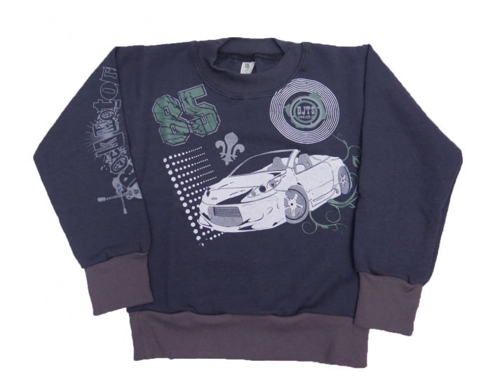 Buzo de Algodon Frizado Sin Capucha Estampado Auto