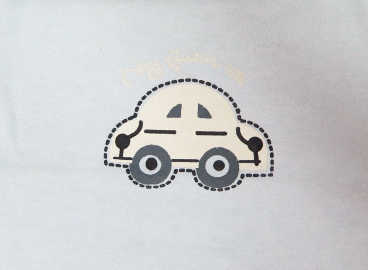 Buzo de Algodon Frizado Estampado Auto