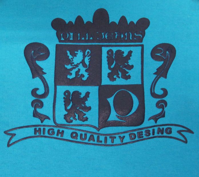 Buzo de Algodon Frizado Estampado Escudo