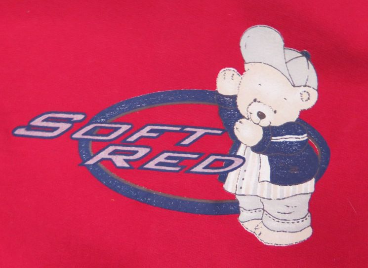 Buzo de Algodon Frizado Sin Capucha Estampado Ositos