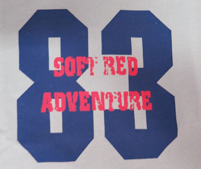 Buzo De Algodon Frizado Estampado 83