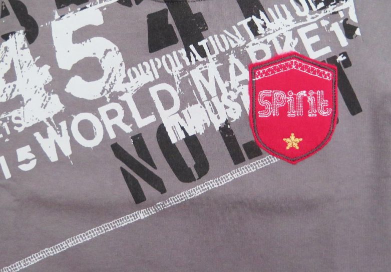 Buzo de Algodon Frizado Escudo Bordado Spirit