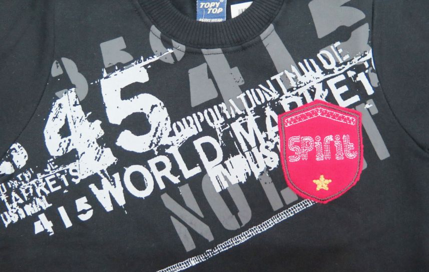 Buzo de Algodon Frizado Escudo Bordado Spirit