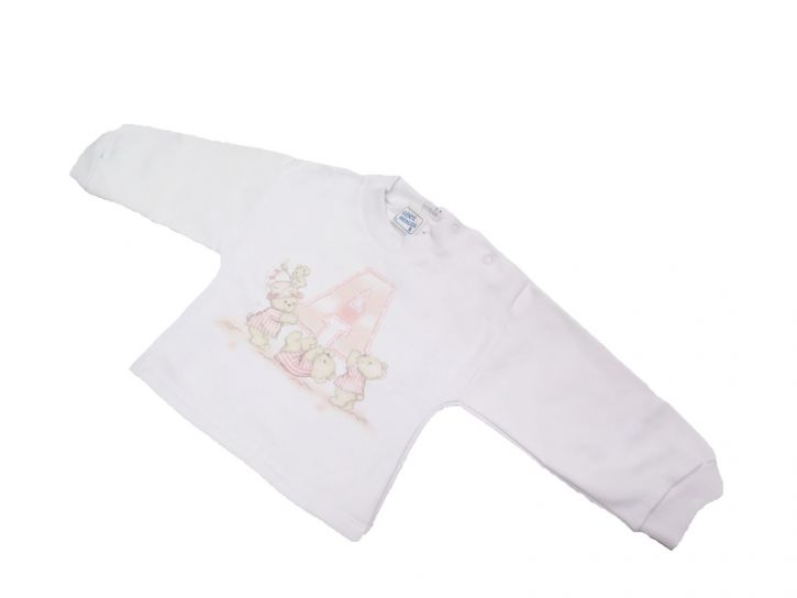 Buzo de Algodon Frizado Estampado Osos "A"