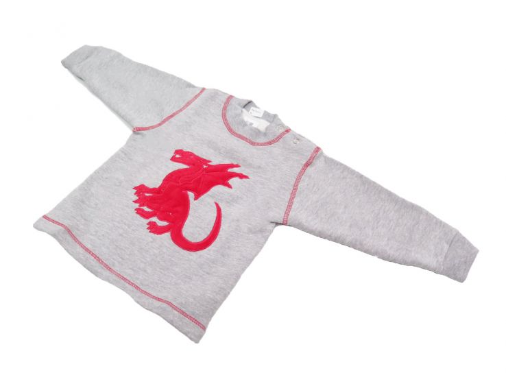 Buzo de Algodon Frizado Con Aplique de Dragon