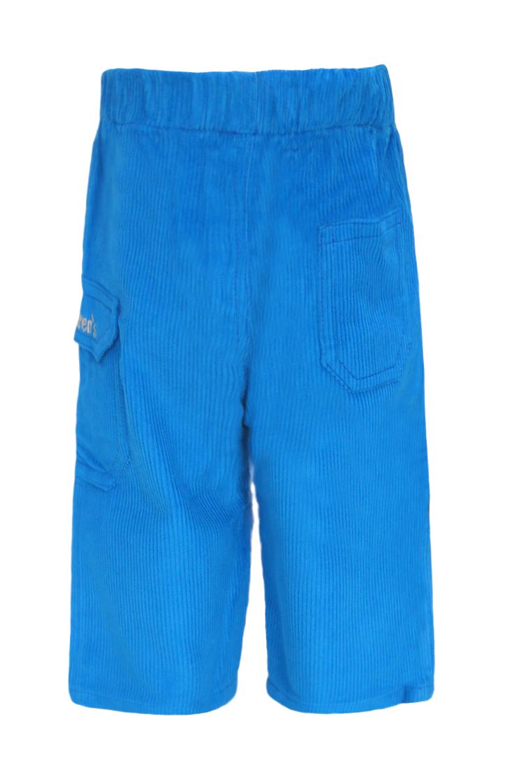 Pantalon de Corderoy con Bolsillo Cargo Bordado