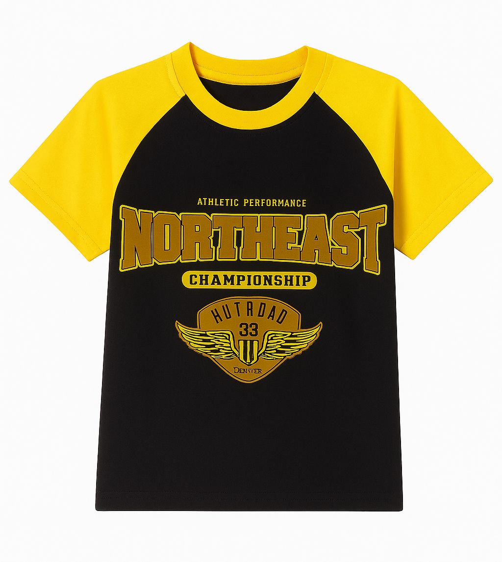 Remera Manga Corta Estampado con Terciopelo Northeast