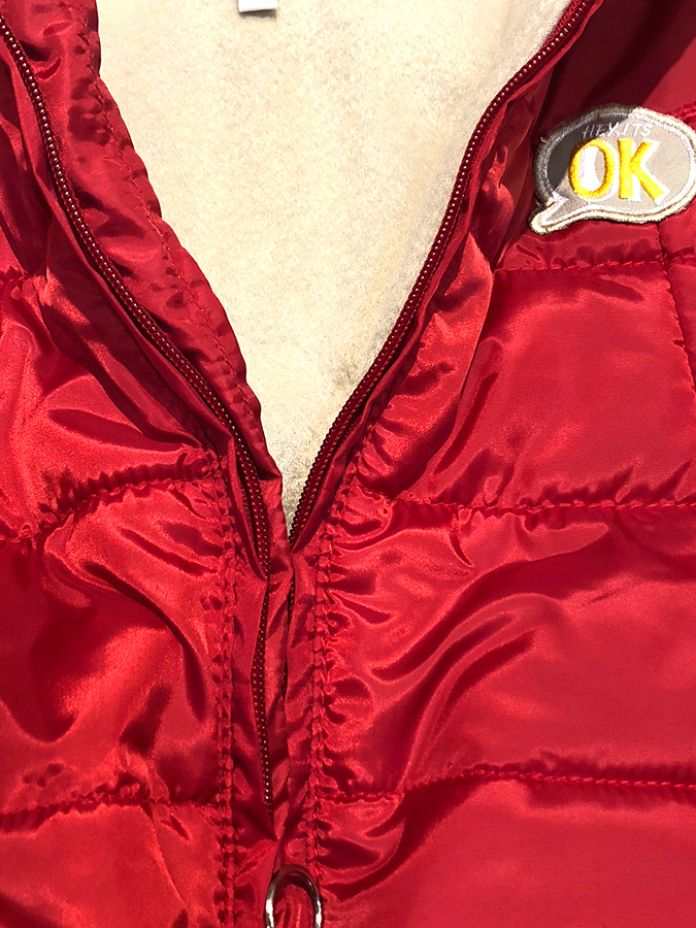 Campera Lisa con Capucha Silver y Polar