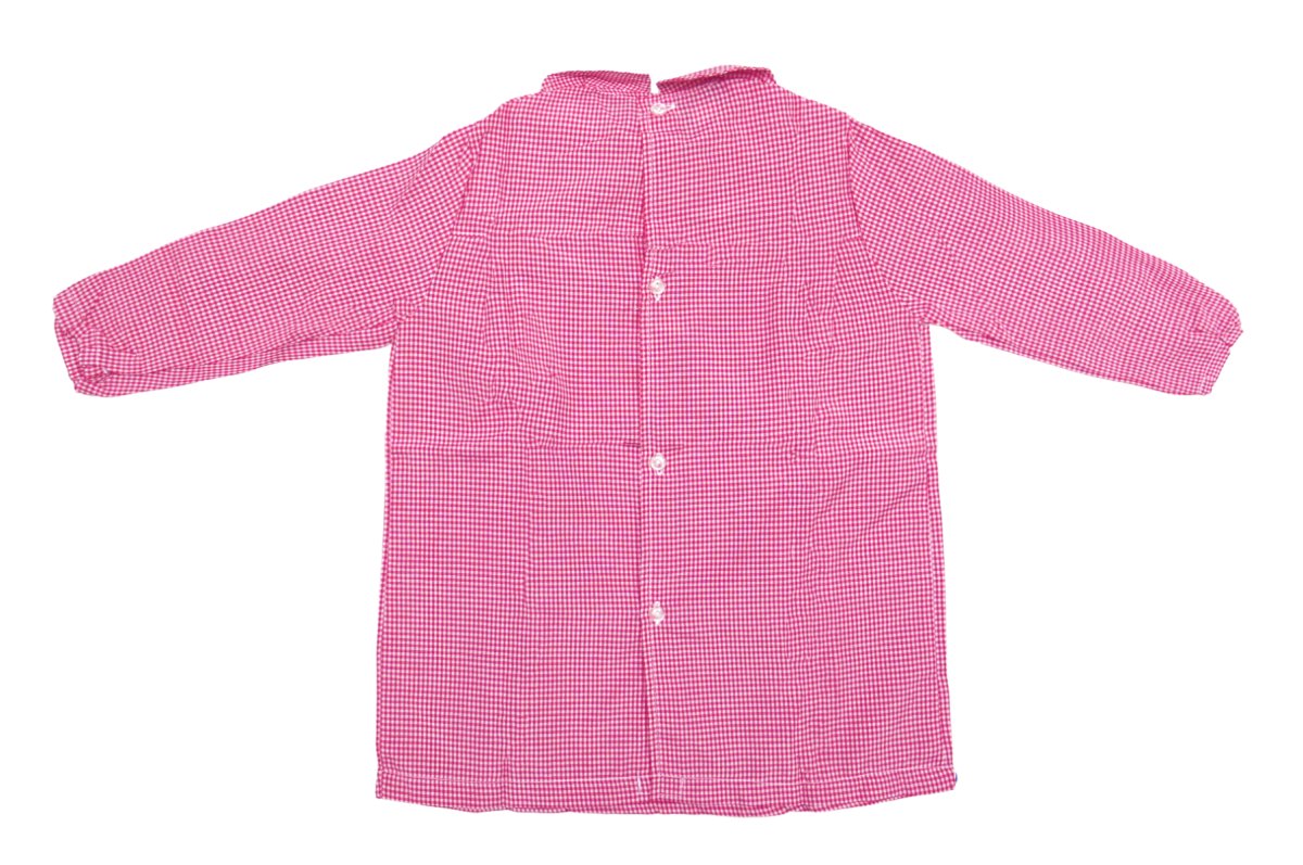 Pintorcito Abrochado atras