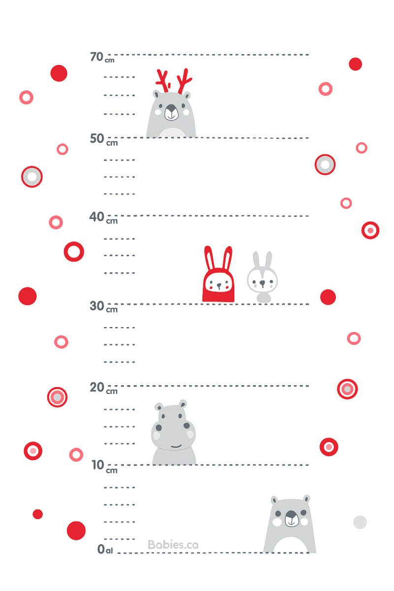 Corralito EURO con red hexagonal y trabas en las patas