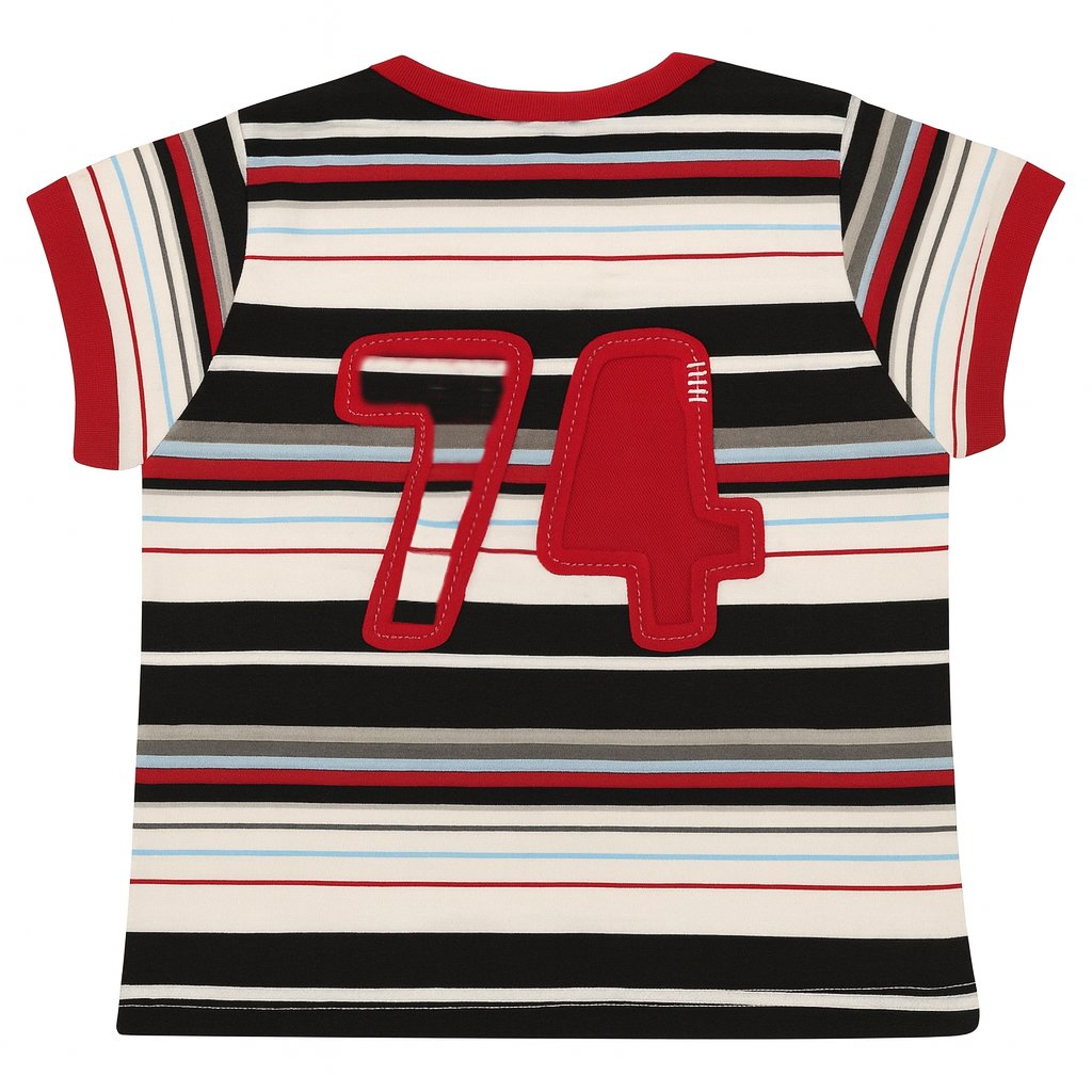 Remera Manga corta rayada