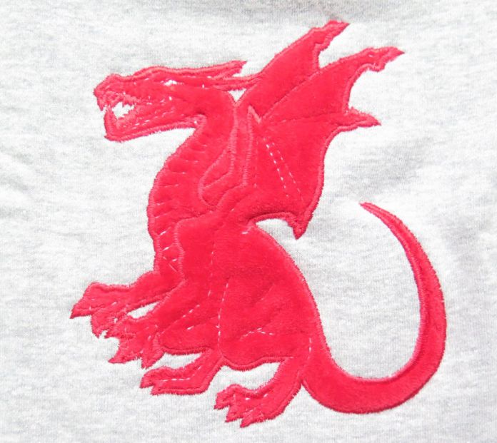 Buzo de Algodon Frizado Con Aplique de Dragon