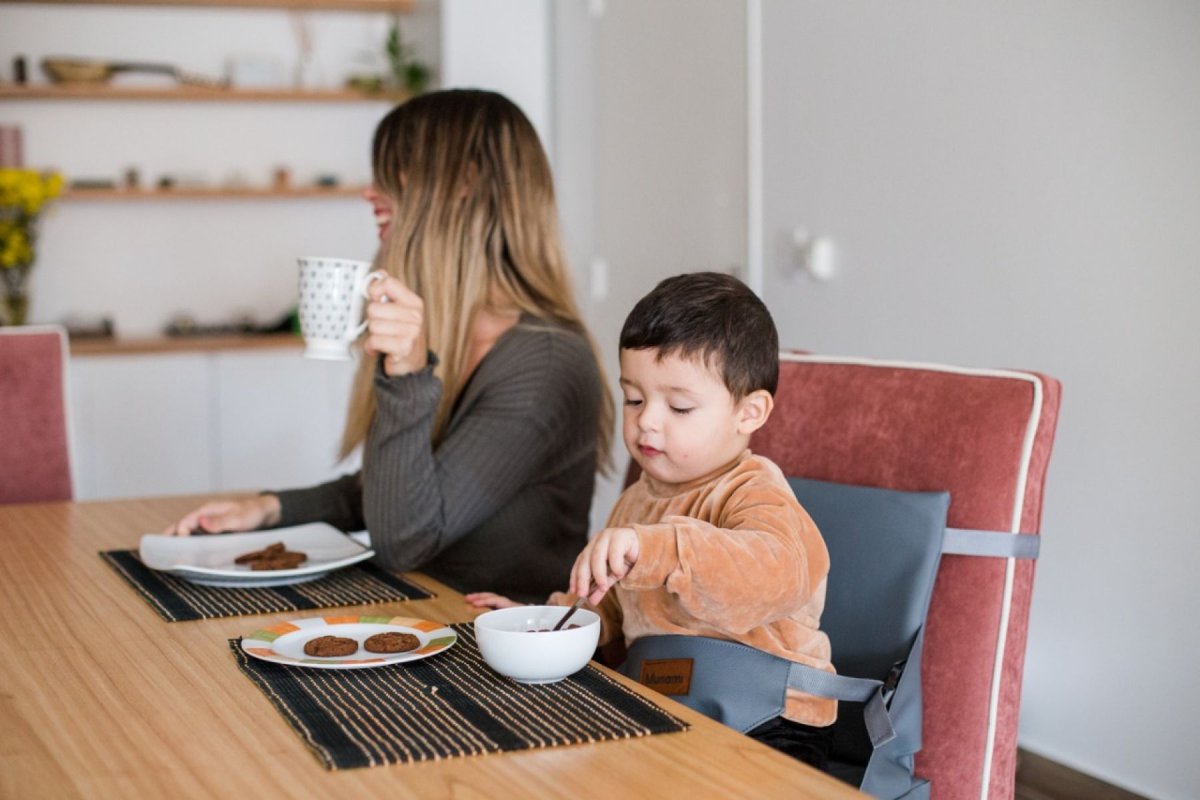 Silla Booster Para Comer Plegable