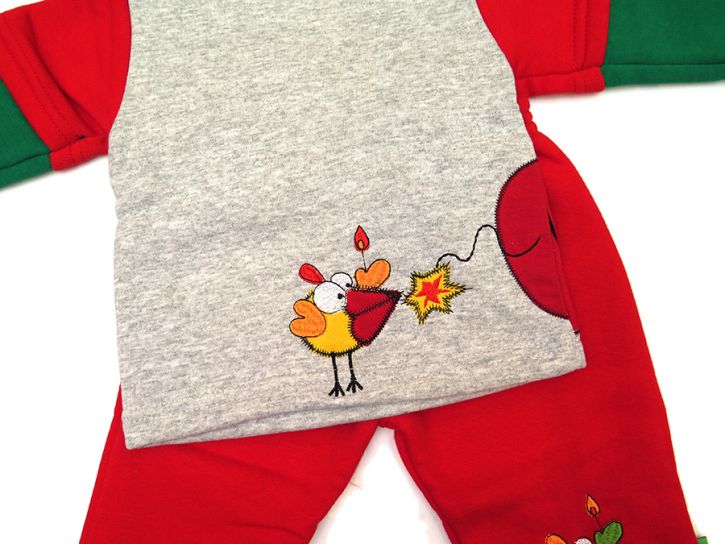 Conjunto de Jogging: Buzo + Pantalon - bebe - bordado pajarito rojo gris