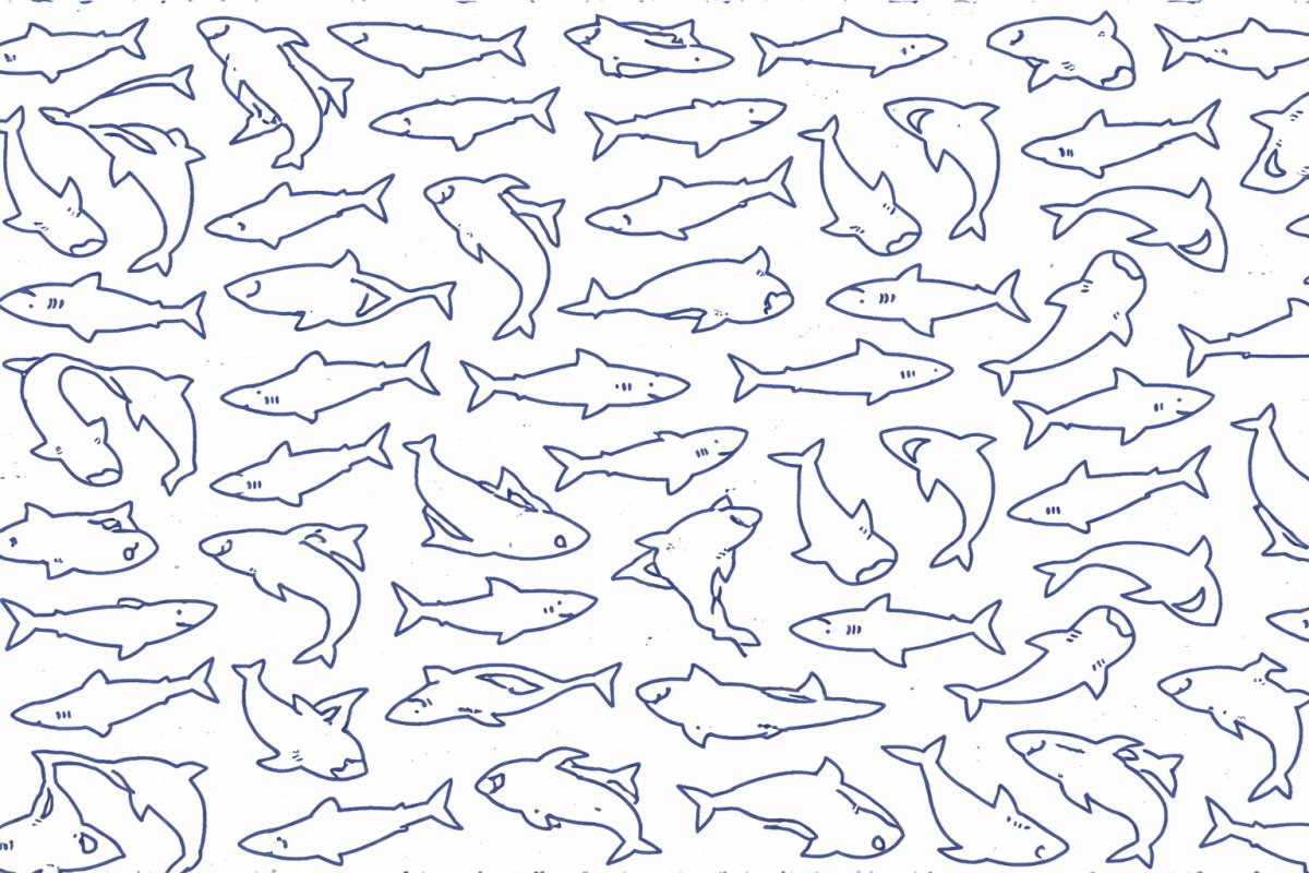 Boxers Estampado Tiburones / Liso