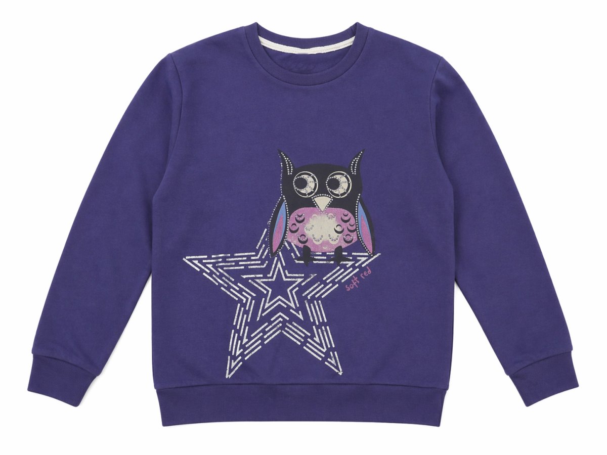 Buzo Frisa Estampado Buho Con Brillo