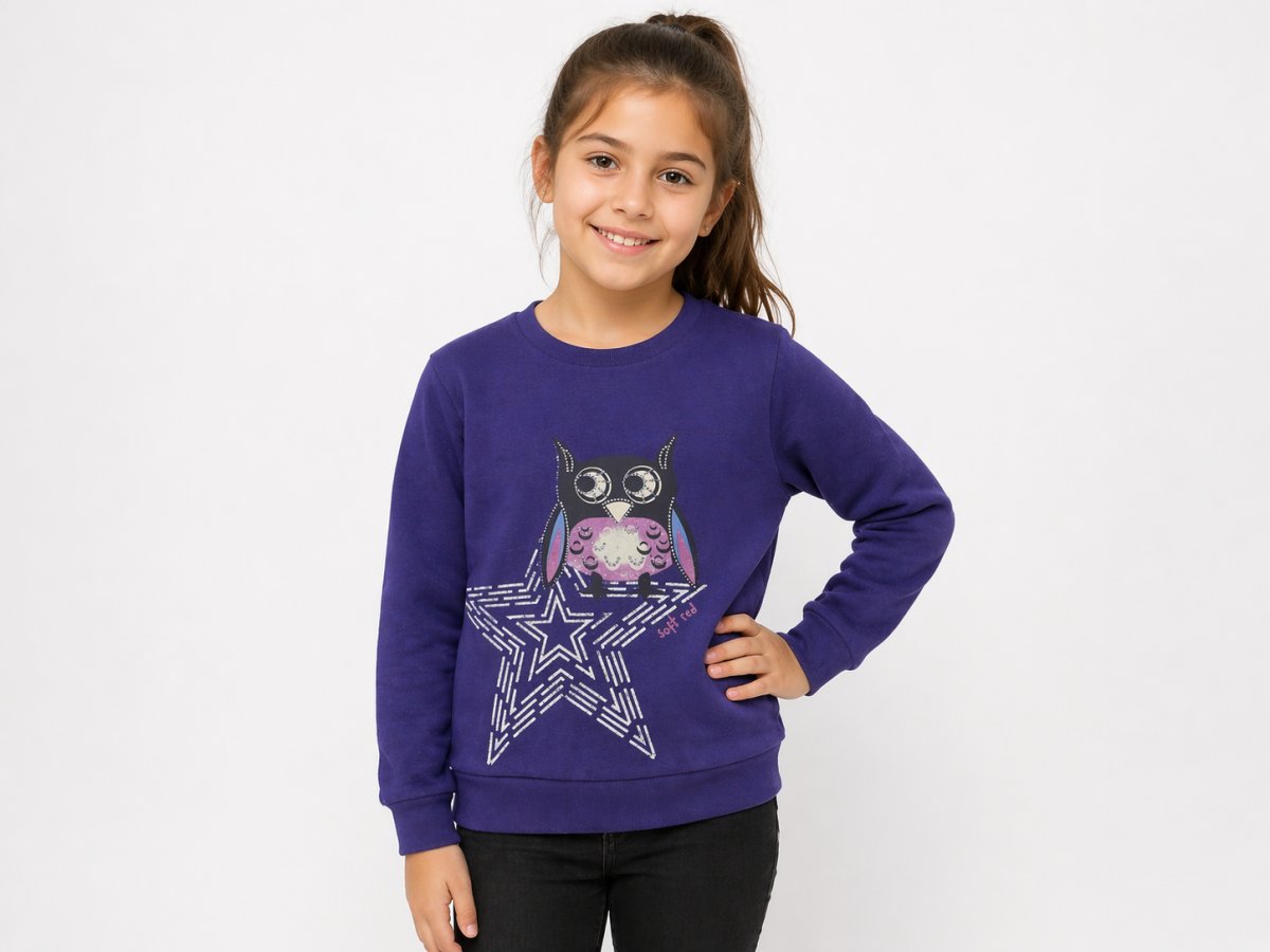 Buzo Frisa Estampado Buho Con Brillo