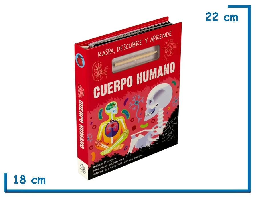 L.RASPA, DESCUBRE Y APRENDE CUERPO HUMANO