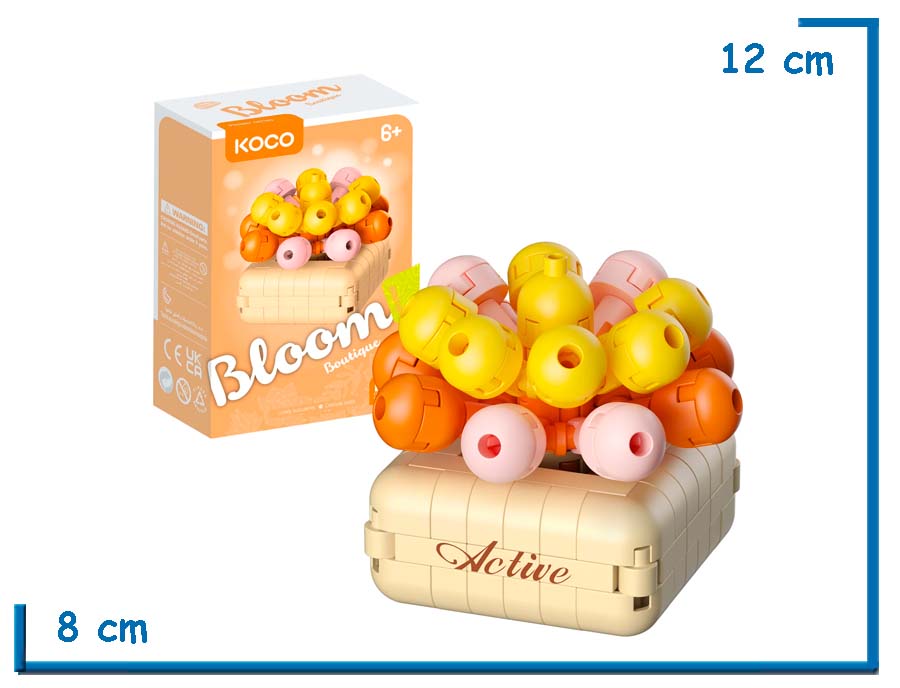 KOCO BLOOM BOUTIQUE L. SUCCULENTS CRASSULA OVATA 130 PZS